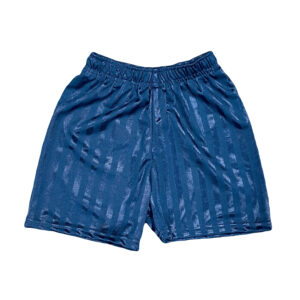 Navy PE Shorts