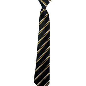 TWS new Year 7 tie