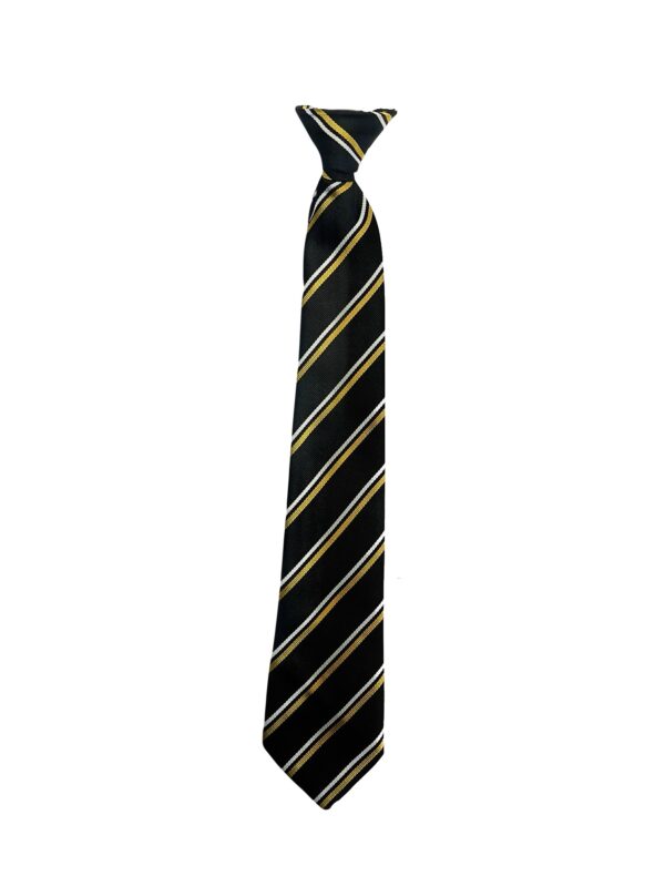 TWS new Year 7 tie